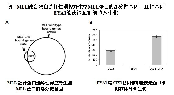 南宫娱乐·NG28(中国)官方网站