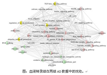 南宫娱乐·NG28(中国)官方网站