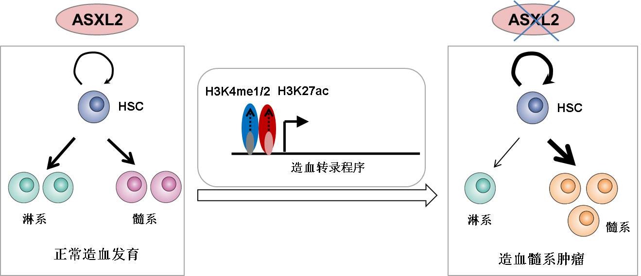 南宫娱乐·NG28(中国)官方网站